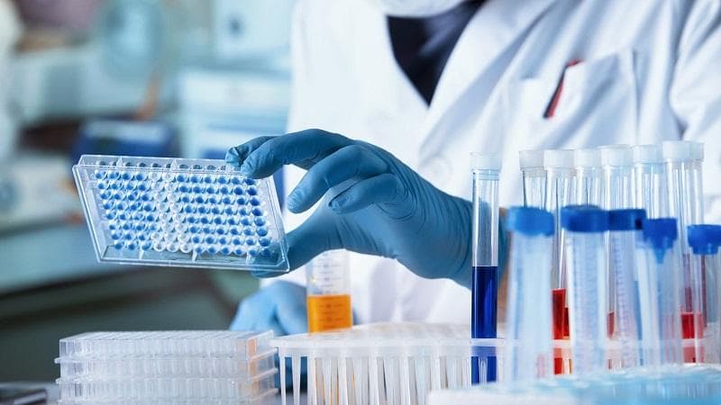 dấu hiệu bệnh sán chó mèo ở người