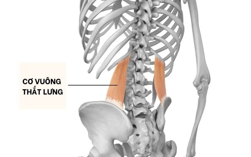 Tư thế đúng giúp bảo vệ sức khỏe cột sống.