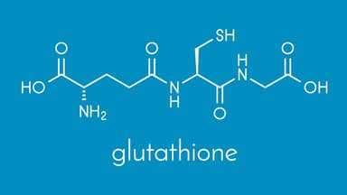 Đặc điểm chất chống oxy hóa glutathione