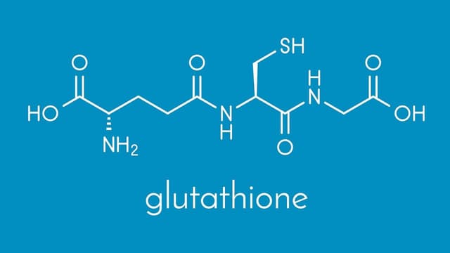Đặc điểm chất chống oxy hóa glutathione