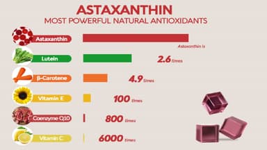 Các chất chống oxy hóa mạnh nhất