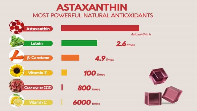 Các chất chống oxy hóa mạnh nhất