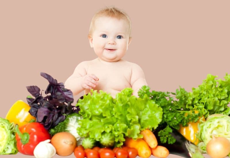 Chế độ dinh dưỡng cho trẻ từ 1 3 tuổi