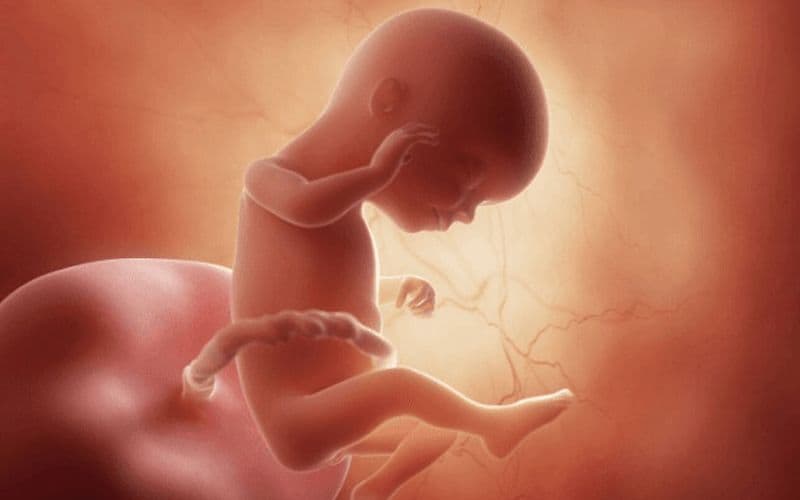 chu vi vòng đầu của thai nhi 16 tuần