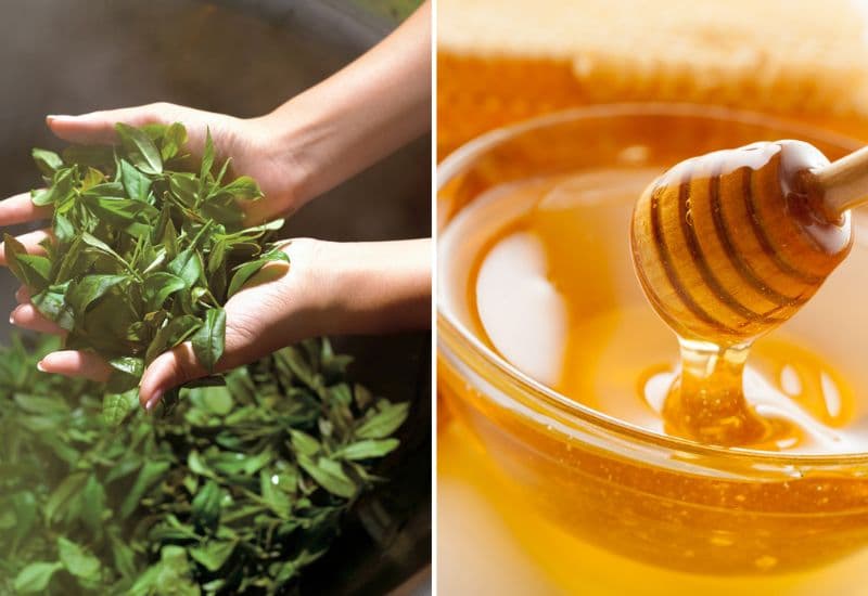 chữa tụt lợi