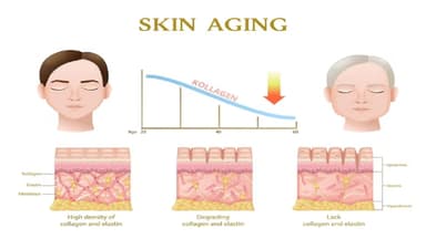 Dấu hiệu lão hóa da điển hình