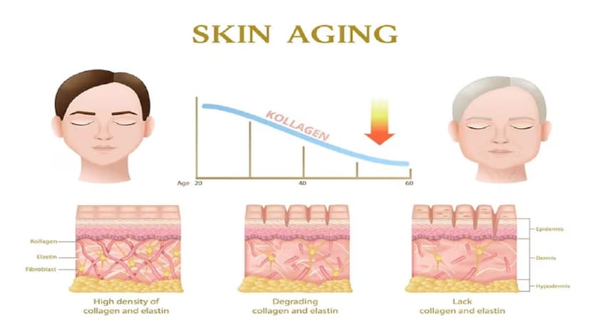 Dấu hiệu lão hóa da điển hình