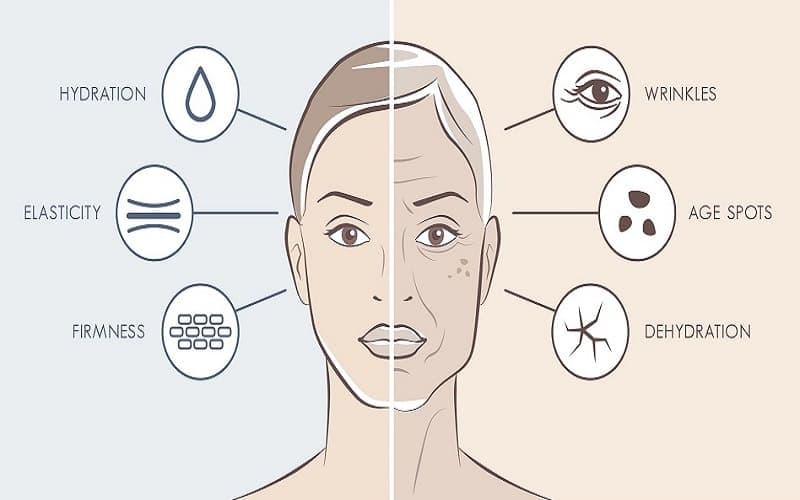 Dấu hiệu lão hóa da điển hình