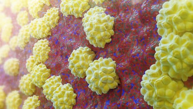 Điều trị Chlamydia ở Đại Từ ở đâu hiệu quả, uy tín và bảo mật?