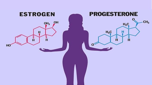 Sự thay đổi của hormone trong chu kỳ kinh nguyệt