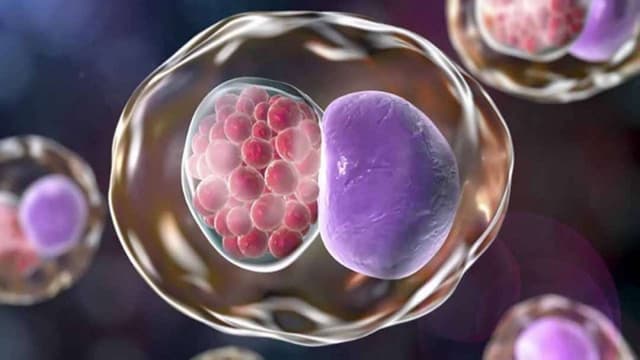 Khi nào cần khám Chlamydia? Gợi ý địa chỉ khám Chlamydia ở Đại Từ uy tín