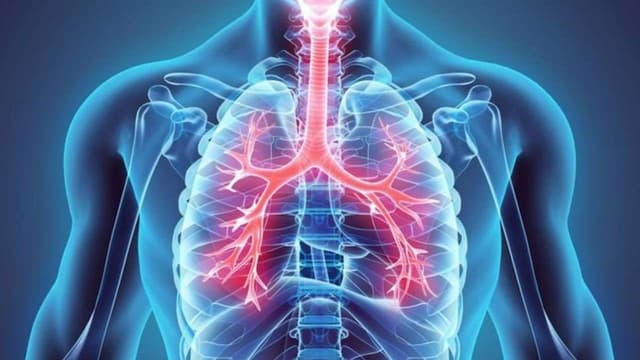 Phòng khám hô hấp ở Đại Mỗ: Gợi ý địa chỉ thăm khám uy tín, bác sĩ tận tâm, thuận tiện di chuyển