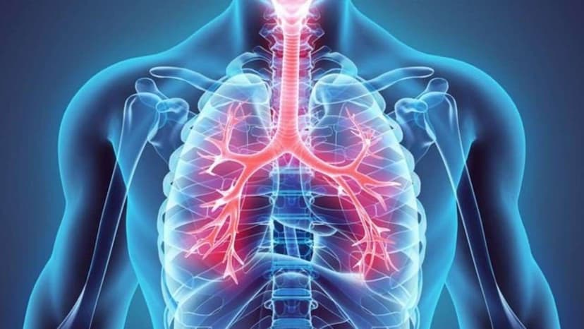 Phòng khám hô hấp ở Đại Mỗ: Gợi ý địa chỉ thăm khám uy tín, bác sĩ tận tâm, thuận tiện di chuyển
