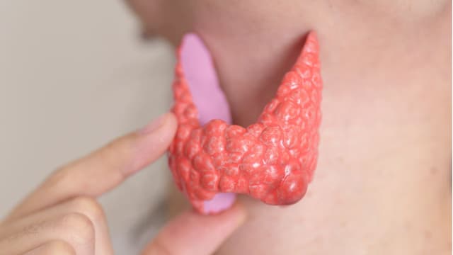 Cảnh giác suy giáp ở người cao tuổi