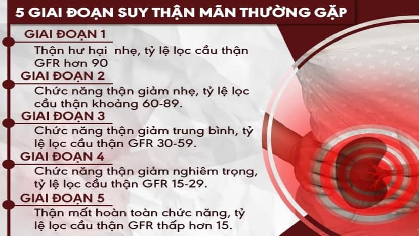 Suy thận giai đoạn 2 chữa được không? Nên ăn thực phẩm gì khi bị suy thận giai đoạn 2