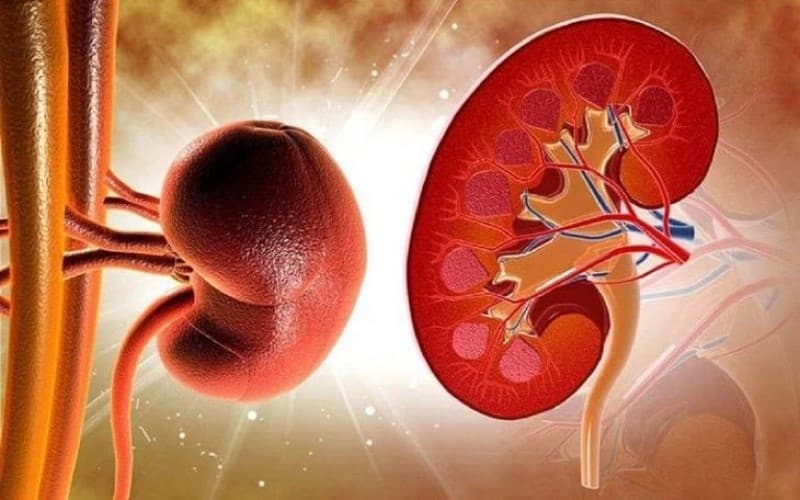 suy thận giai đoạn 2 chữa được không