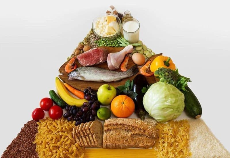 tháp dinh dưỡng cho trẻ từ 6 11 tuổi