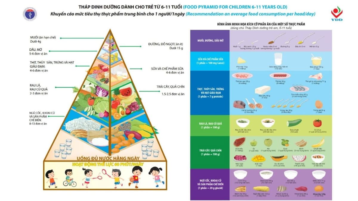 Đặc điểm tháp dinh dưỡng cho trẻ từ 6 đến 11 tuổi