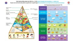 Đặc điểm tháp dinh dưỡng cho trẻ từ 6 đến 11 tuổi