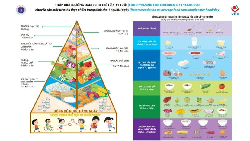 Đặc điểm tháp dinh dưỡng cho trẻ từ 6 đến 11 tuổi