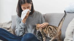Viêm mũi vận mạch và viêm mũi dị ứng khác gì nhau?