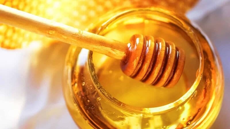 chữa viêm mũi dị ứng bằng mật ong