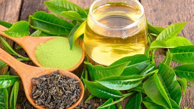 chất chống oxy hóa trong trà xanh