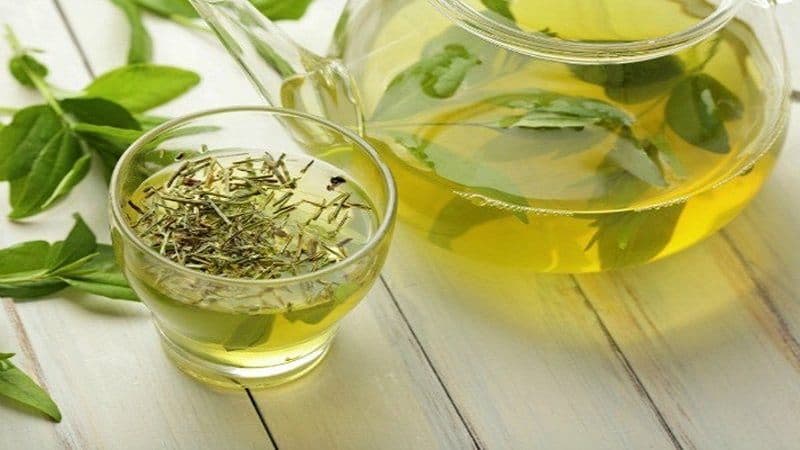 chất chống oxy hóa trong trà xanh