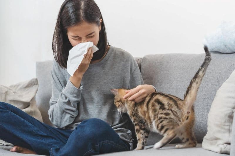viêm mũi vận mạch và viêm mũi dị ứng