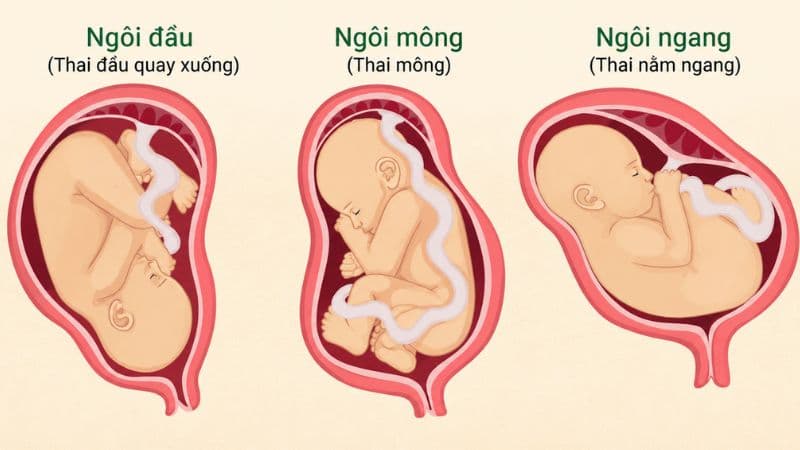 vòng bụng bầu 8 tháng