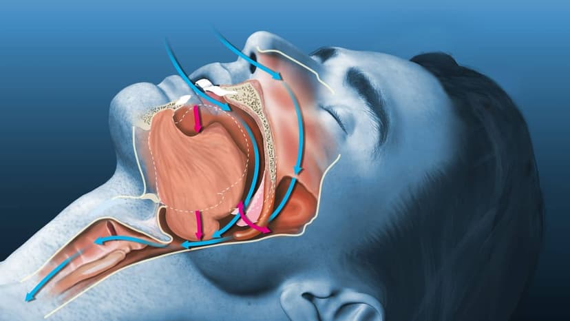 Lưỡi gà có vai trò gì trong cơ thể? Khám phá vai trò và những điều cần biết