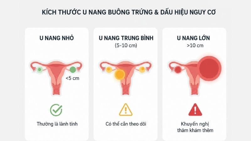 Phẫu thuật có thể được cân nhắc khi u nang lớn hoặc có nguy cơ biến chứng. 