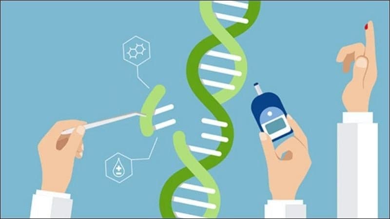 Gen đóng vai trò trong bệnh tiểu đường