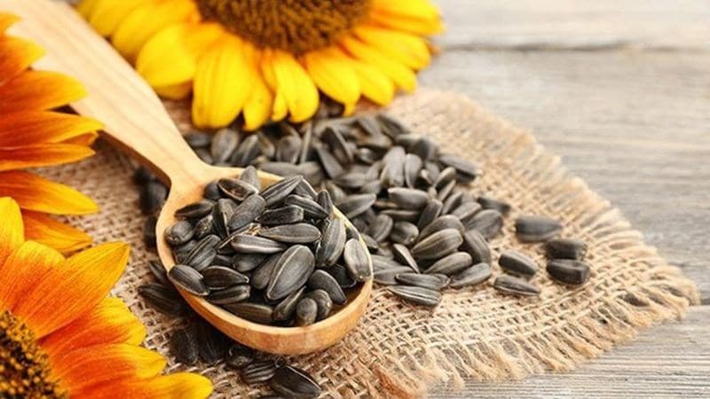 Hạt hướng dương còn cung cấp lượng đáng kể sắt và kẽm cho mẹ bầu