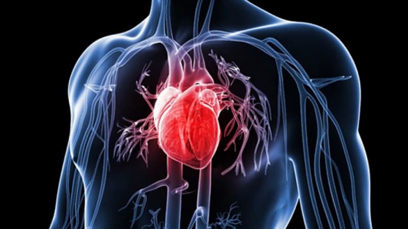 Bệnh lý tim mạch cần chẩn đoán hình ảnh để phát hiện sớm