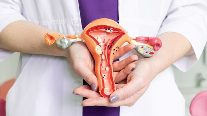 Gợi ý danh sách bác sĩ giỏi chữa viêm âm hộ ở Vĩnh Phúc giúp chị em an tâm thăm khám