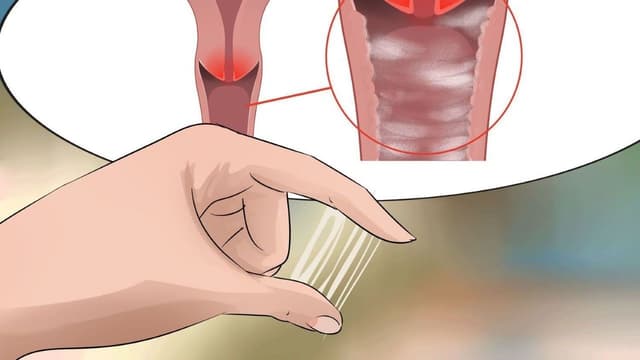 Kinh nghiệm lựa chọn bác sĩ giỏi chữa viêm âm hộ ở Ba Đình uy tín, tận tâm