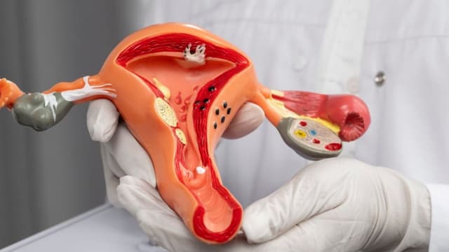 Danh sách bác sĩ giỏi chữa viêm âm hộ ở Tây Hồ được nhiều người lựa chọn