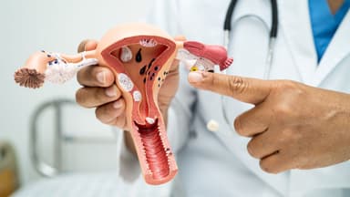 Bỏ túi địa chỉ bác sĩ giỏi chữa viêm cổ tử cung ở Tây Mỗ khám tận tâm, tư vấn nhiệt tình