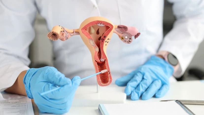 Mách bạn danh sách bác sĩ giỏi chữa viêm cổ tử cung ở Đại Mỗ khám tận tâm, giàu kinh nghiệm