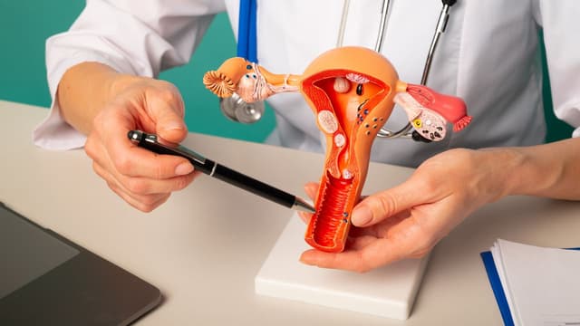 Tìm bác sĩ giỏi chữa viêm cổ tử cung ở Ngọc Hà: Gợi ý địa chỉ khám uy tín, bác sĩ tận tâm