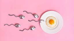 Bí quyết để dễ thụ thai: Cẩm nang tăng cơ hội mang thai tự nhiên