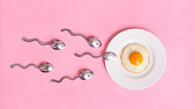 Bí quyết để dễ thụ thai: Cẩm nang tăng cơ hội mang thai tự nhiên