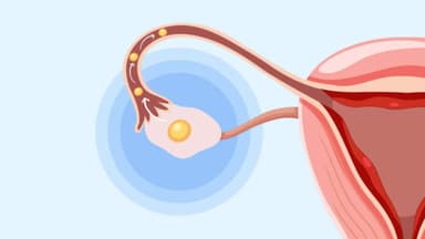 Đến ngày rụng trứng có biểu hiện gì để nhận biết?