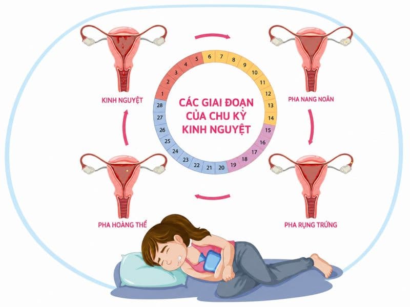 Theo dõi ngày bắt đầu và thời gian hành kinh giúp nhận biết sớm những thay đổi bất thường của chu kỳ.
