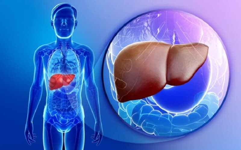 Bệnh gan mật diễn tiến âm thầm, vì vậy chủ động kiểm tra định kỳ giúp phát hiện sớm những bất thường