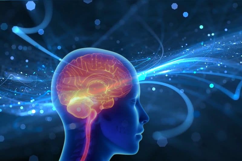 Alzheimer, đột quỵ, chấn thương sọ não hoặc tổn thương não có thể ảnh hưởng đến việc ghi nhớ và nhận thức.