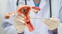 Gợi ý địa chỉ phòng khám viêm âm hộ uy tín tại Tây Hồ