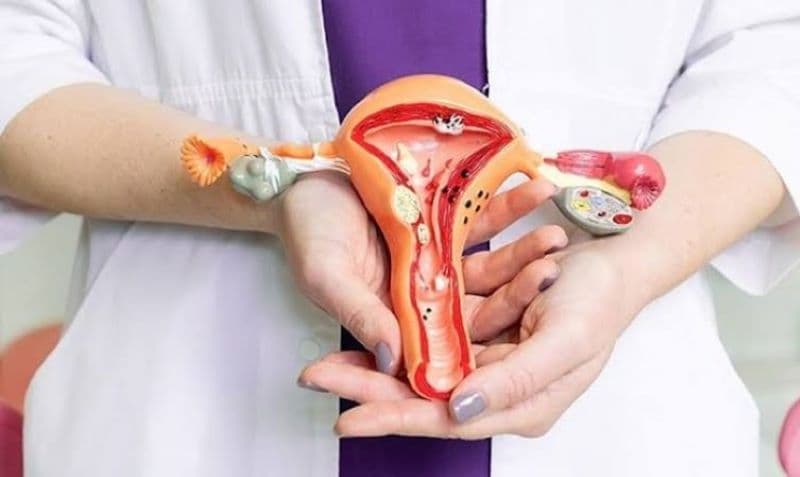 Sản phụ khoa là lĩnh vực có nhiều vấn đề riêng tư và nhạy cảm