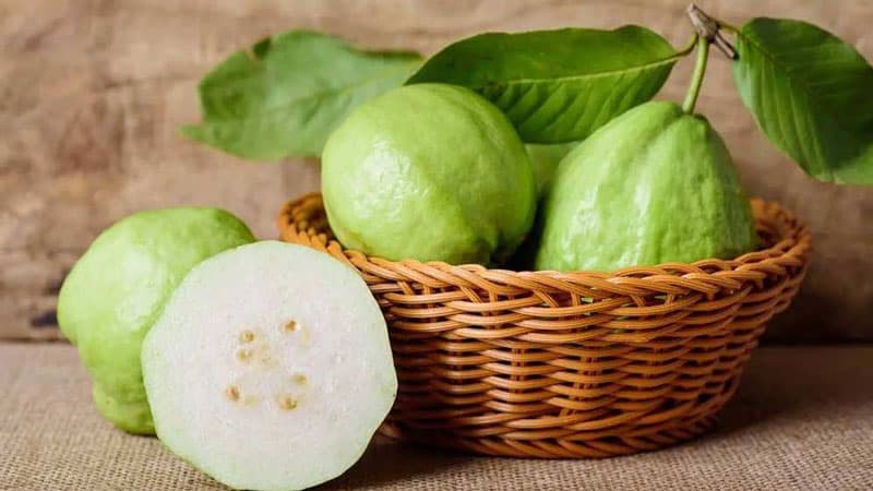Ổi là nguồn cung cấp vitamin C đáng chú ý, đồng thời chứa chất xơ và một số vi chất khác